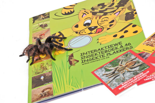 MENZO - Insect & Spider Sticker Book