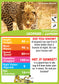 MENZO - Stat-it With Menzo Complete Wildlife Card Series