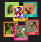 MENZO - Interactive Insect & Spider Sticker Book